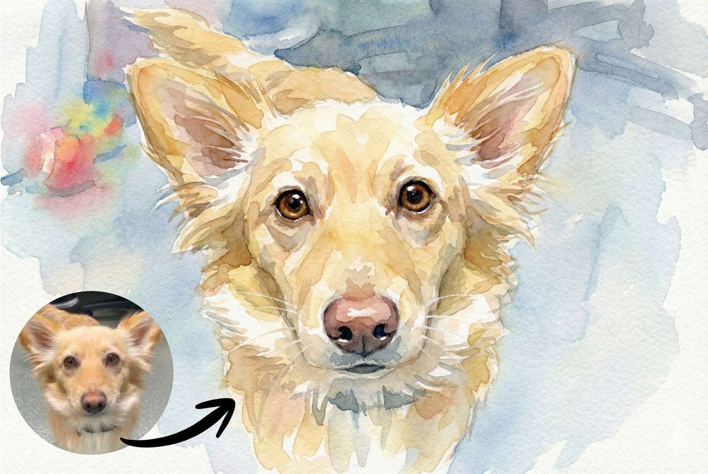 Custom Watercolour Pets!